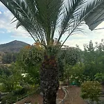 Sofros Valley Hills Chalet Agios Mamas