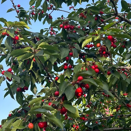 בקתה Sofros Valley Hills