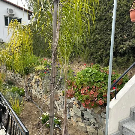 בקתה Sofros Valley Hills איוס מאמס