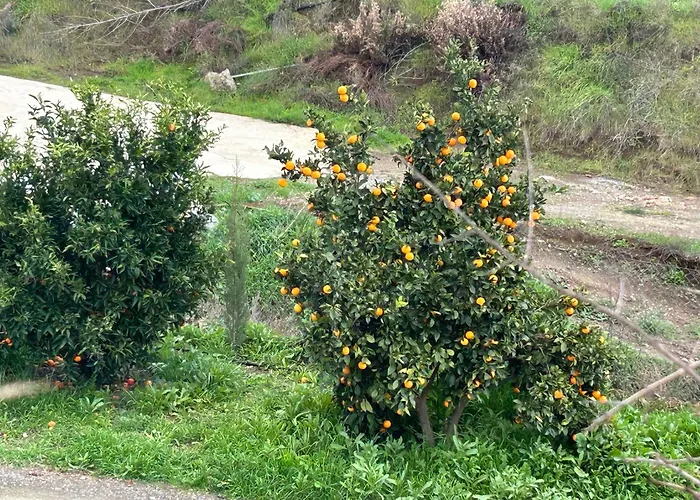 Sofros Valley Hills * איוס מאמס