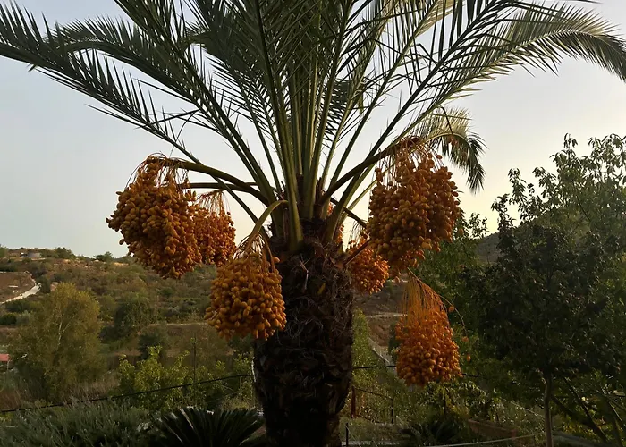 בקתה Sofros Valley Hills איוס מאמס