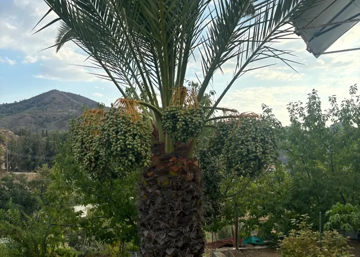 Sofros Valley Hills בקתה איוס מאמס