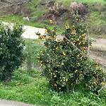 Sofros Valley Hills * Agios Mamas