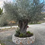Domek alpejski Sofros Valley Hills Agios Mamas