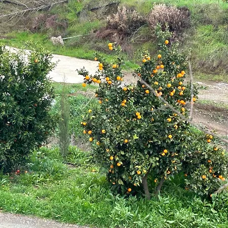 Sofros Valley Hills * Agios Mamas