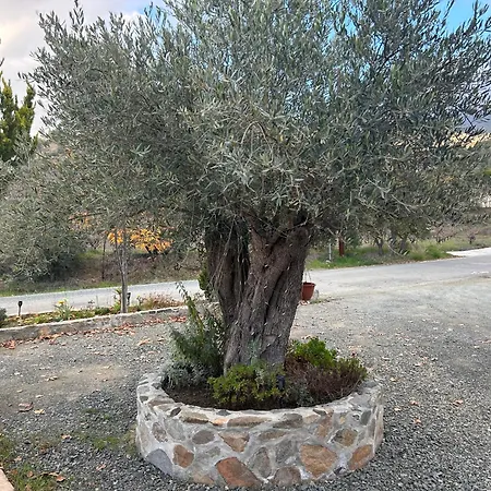 Domek alpejski Sofros Valley Hills Agios Mamas