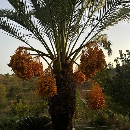 Alpstuga Sofros Valley Hills Agios Mamas