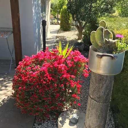 Sofros Valley Hills * Agios Mamas
