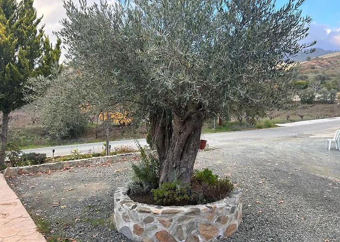 Chalet Sofros Valley Hills Agios Mamas